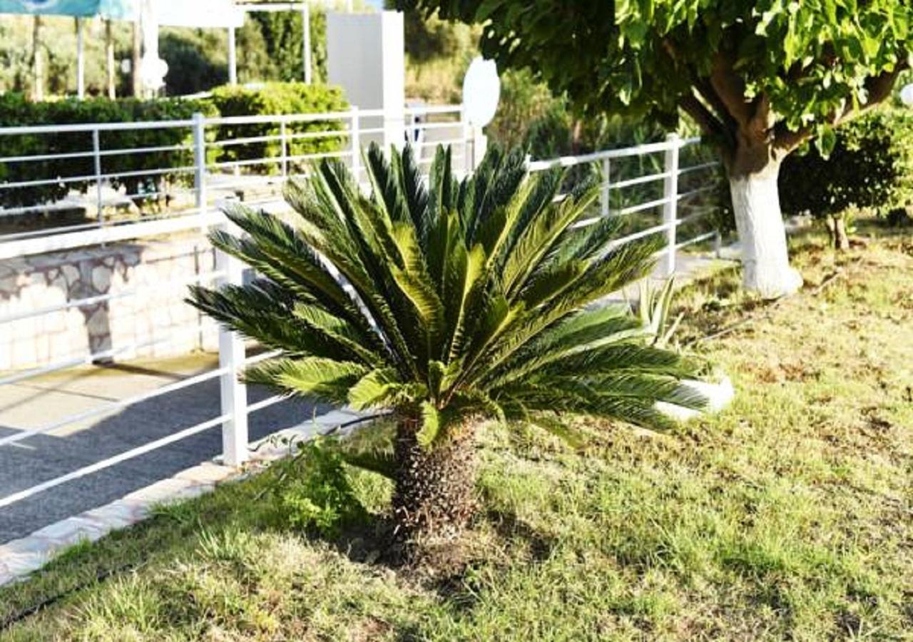 Andy'S Gardens Daire Gerani  Dış mekan fotoğraf